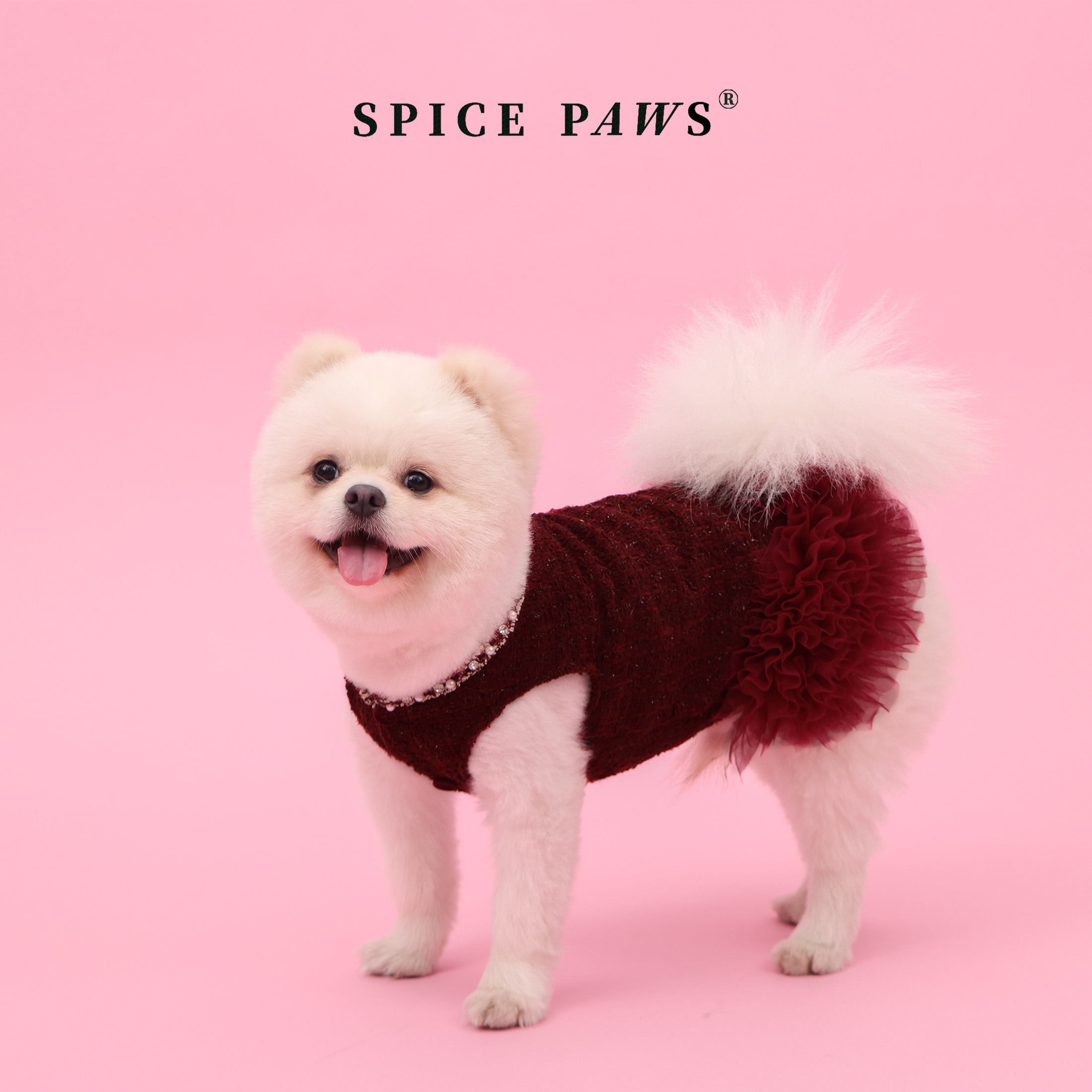 Burgundy Sequin Pet Skirt with - Glitter Tablecloth review and price